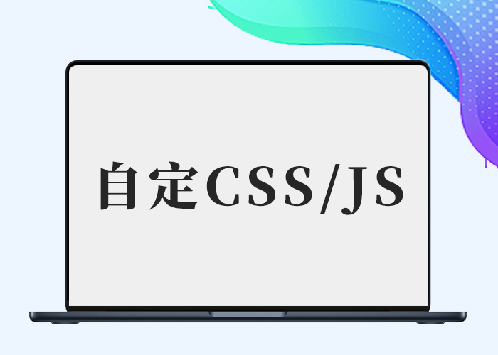 子比使用自定义css自定义js-剑去主题