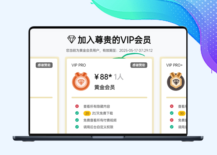 B2美化仿Haitheme主题的VIP页面-剑去主题